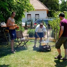 Nohab Apartman Badacsonytördemic - Medence/kert