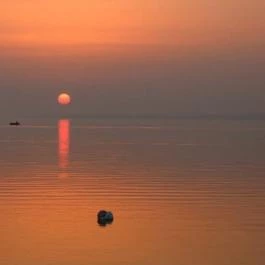 Nohab Apartman Badacsonytördemic - Környék