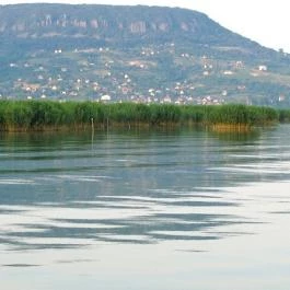 Nohab Apartman Badacsonytördemic - Környék