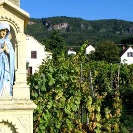 Nohab Apartman Badacsonytördemic - Egyéb