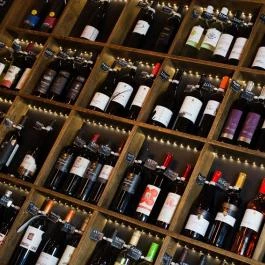 Borbistro Baja - Egyéb