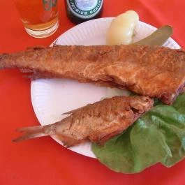  Buci Center - II. Buci Drive - III. Buci Mobil Baja - Egyéb