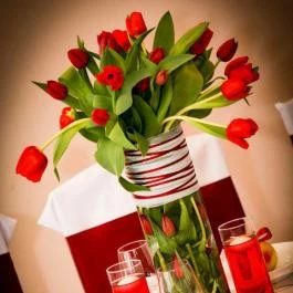 Sobri Halászcsárda Baja - Egyéb