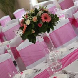 Sobri Halászcsárda Baja - Egyéb