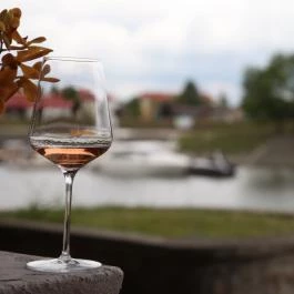 Véndió Étterem Baja - Egyéb