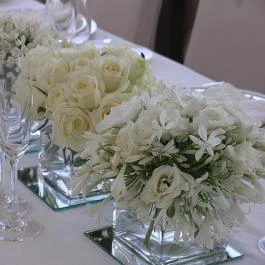 Zsilip Étterem Baja - Egyéb