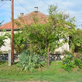 Mathiász Vendégház Baja - Egyéb