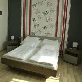 Sugó Panzió Baja - Egyéb