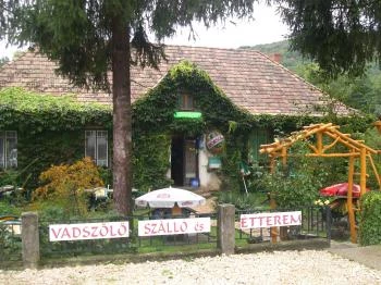 Vadszőlő Szálló étterme Bakonybél