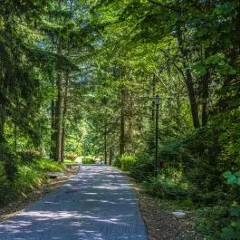 Hotel Bakony Bakonybél - Medence/kert