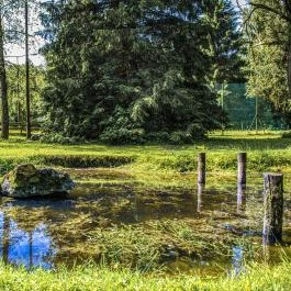 Hotel Bakony Bakonybél - Medence/kert
