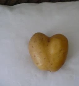 Dombóvár Vendégház