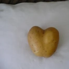 Dombóvár Vendégház Bakonybél - Egyéb