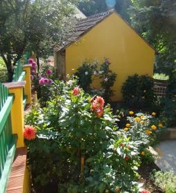 Sárgarigó Vendégház