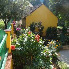 Sárgarigó Vendégház Bakonybél - Medence/kert