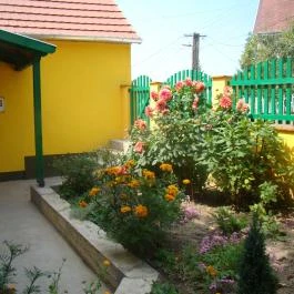 Sárgarigó Vendégház Bakonybél - Medence/kert