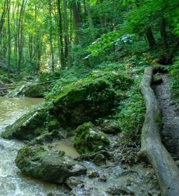 279. legjobb látnivaló: Gerence-patak