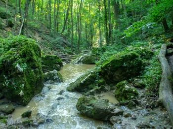 Gerence-patak Bakonybél