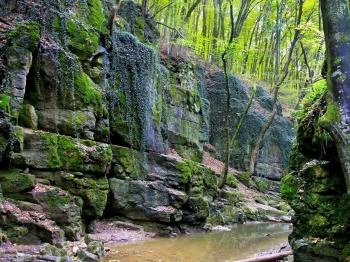 Magas-Bakony Tájvédelmi Körzet Bakonybél
