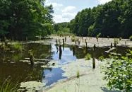 Magas-Bakony Tájvédelmi Körzet Bakonybél