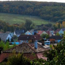 Tibor Vendégház Bakonycsernye - Egyéb