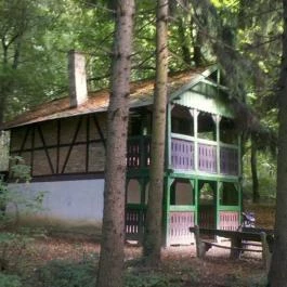 Tibor Vendégház Bakonycsernye - Egyéb