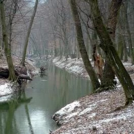 Tibor Vendégház Bakonycsernye - Egyéb