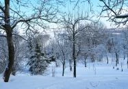 Jákó Ház Bakonyjákó