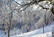 Jákó Ház Bakonyjákó