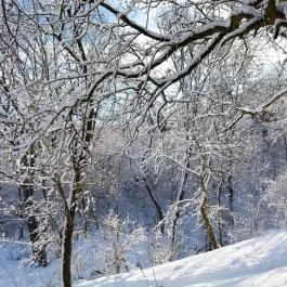 Jákó Ház Bakonyjákó - Egyéb