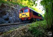 Cuha-völgyi vasút Bakonyszentlászló