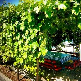 Blanka Villa Wellness Home Bakonyszentlászló - Medence/kert