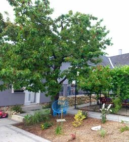 Blanka Villa Wellness Home