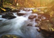 Bakonyszentlászló - Cuha-völgy