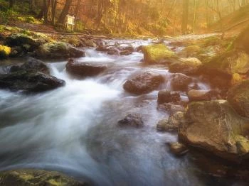 Cuha-völgy Bakonyszentlászló