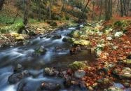 Bakonyszentlászló - Kőpince-forrás