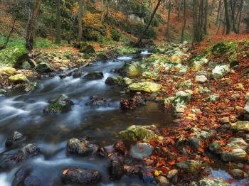 Kőpince-forrás Bakonyszentlászló