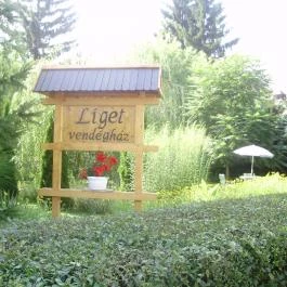 Liget Vendégház Balaton - Medence/kert