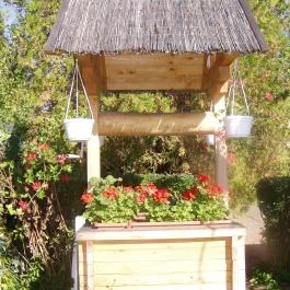 Liget Vendégház Balaton - Medence/kert