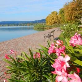 Almádi Apartman Balatonalmádi - Környék