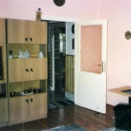 Apartman Zsuzsanna Balatonalmádi - Egyéb