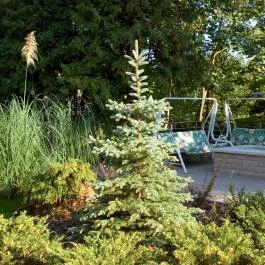 Hotel Villa Pax Balatonalmádi - Medence/kert