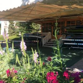 Nereus Park Hotel Balatonalmádi - Medence/kert