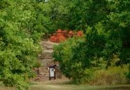 Köcsi tói tanösvény Balatonalmádi