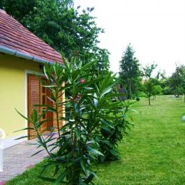 Anna Apartman Balatonberény - Medence/kert