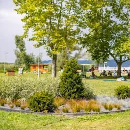 Balatontourist Berény Naturista Kemping Balatonberény - Medence/kert