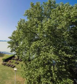 Hotel Família Balatonboglár