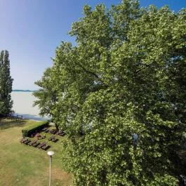 Hotel Família Balatonboglár Balatonboglár - Medence/kert