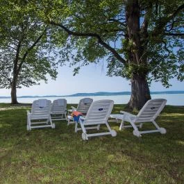 Hotel Família Balatonboglár Balatonboglár - Medence/kert