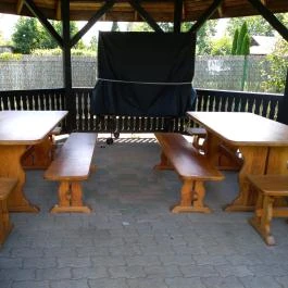 Marina Apartman Balatonboglár - Medence/kert